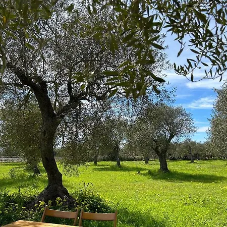 Casa Del Mate Alghero