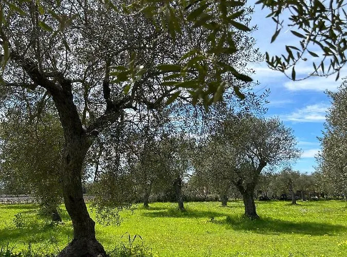 Casa Del Mate Alghero