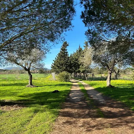 Casa Del Mate * Alghero
